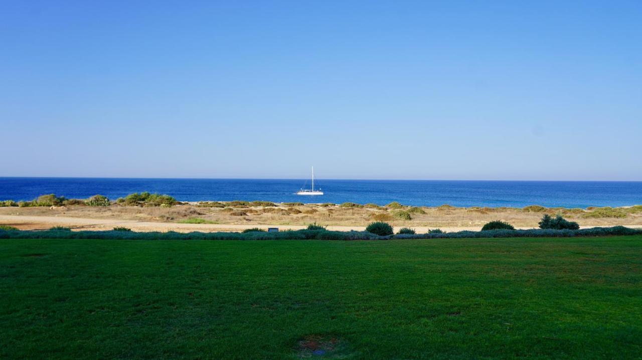 Narcissus 19 Paralimni Exterior foto